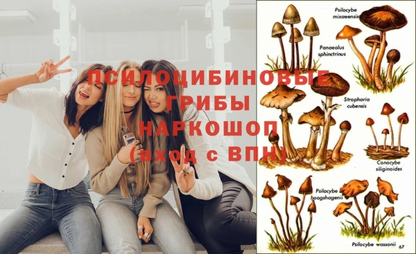 прущий лед Баксан