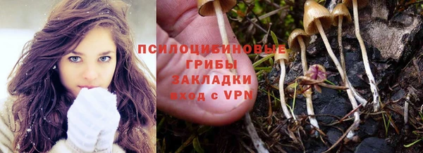 дживик Беломорск