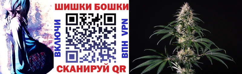 Конопля сатива Шагонар